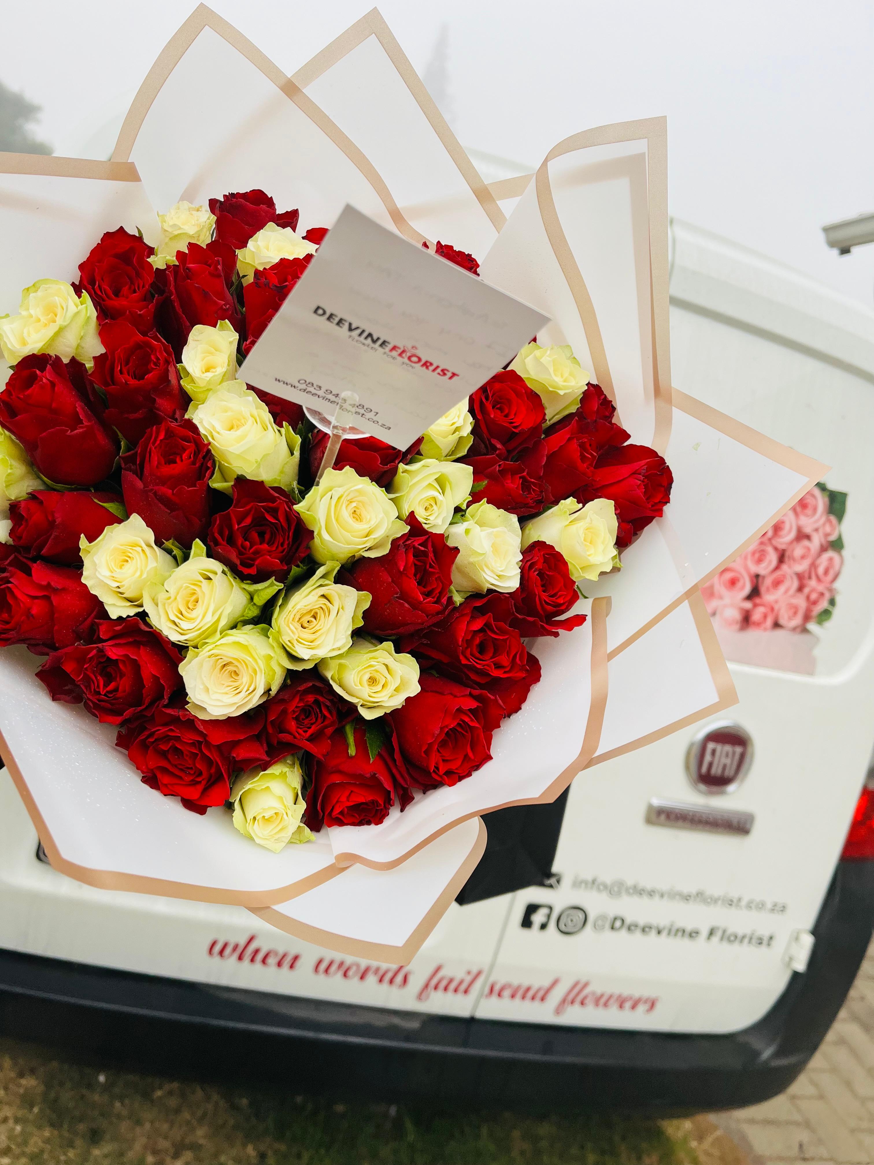 Signature Collection 10