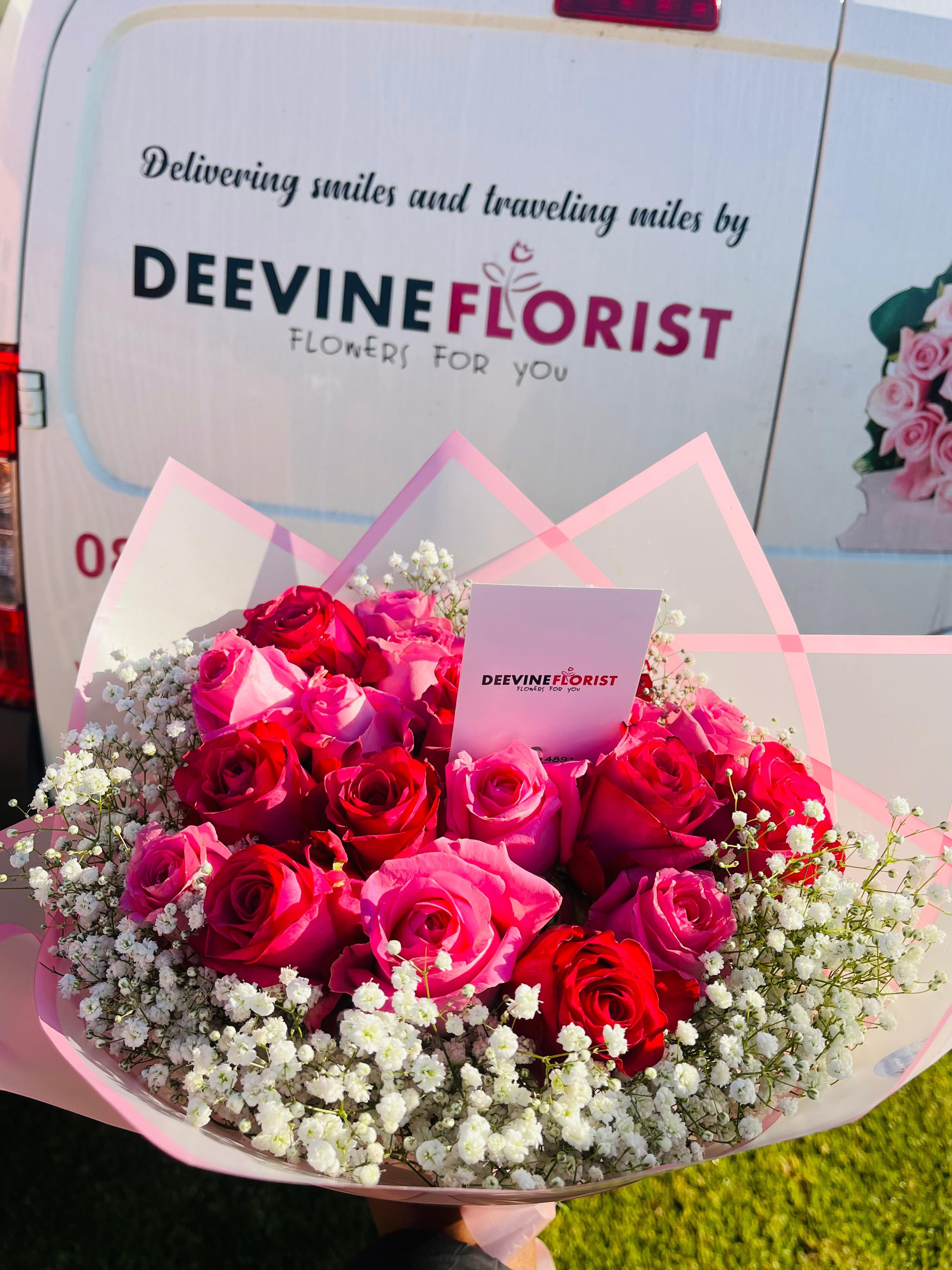 Signature Collection 5