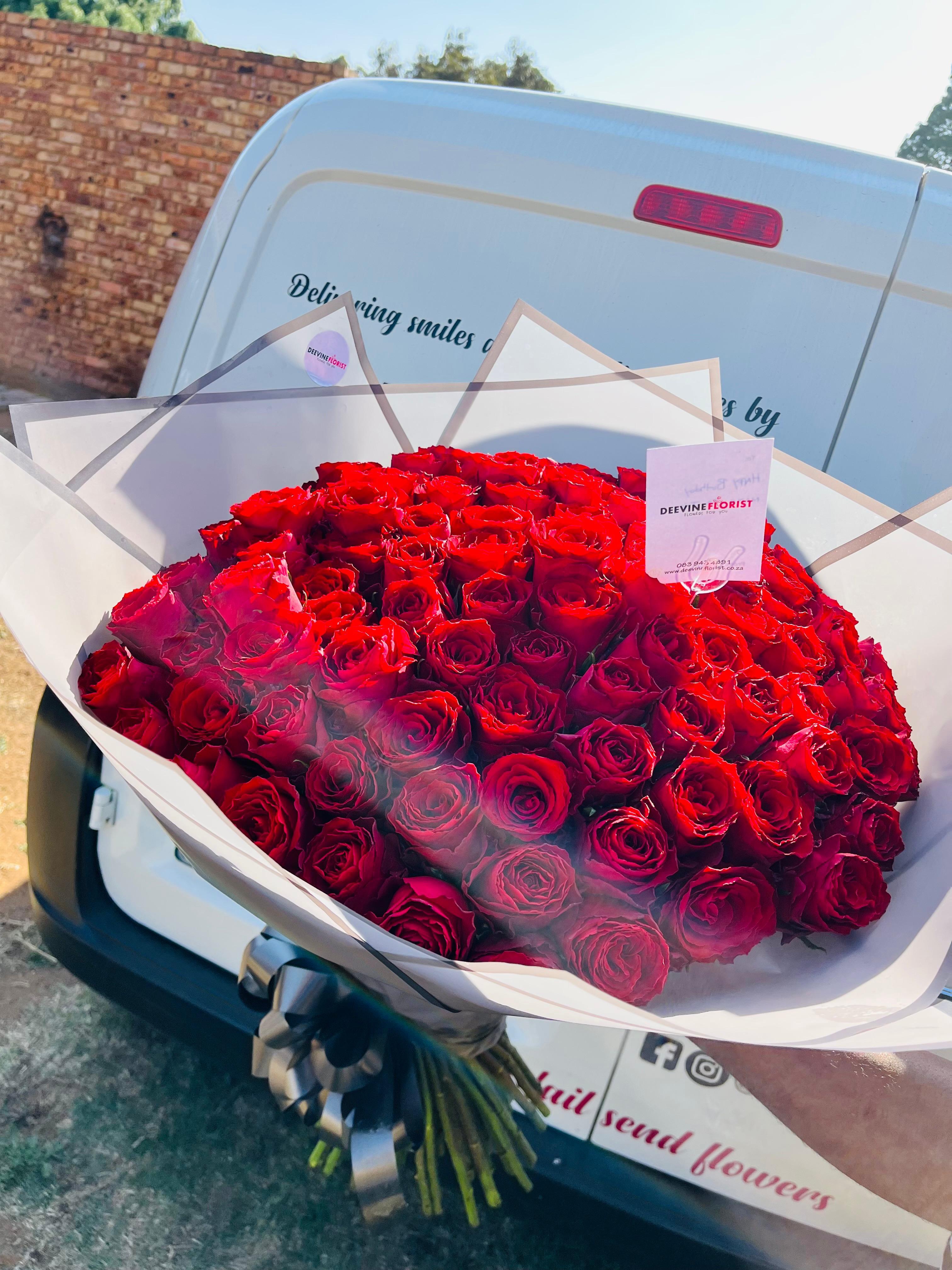 Signature Collection 7