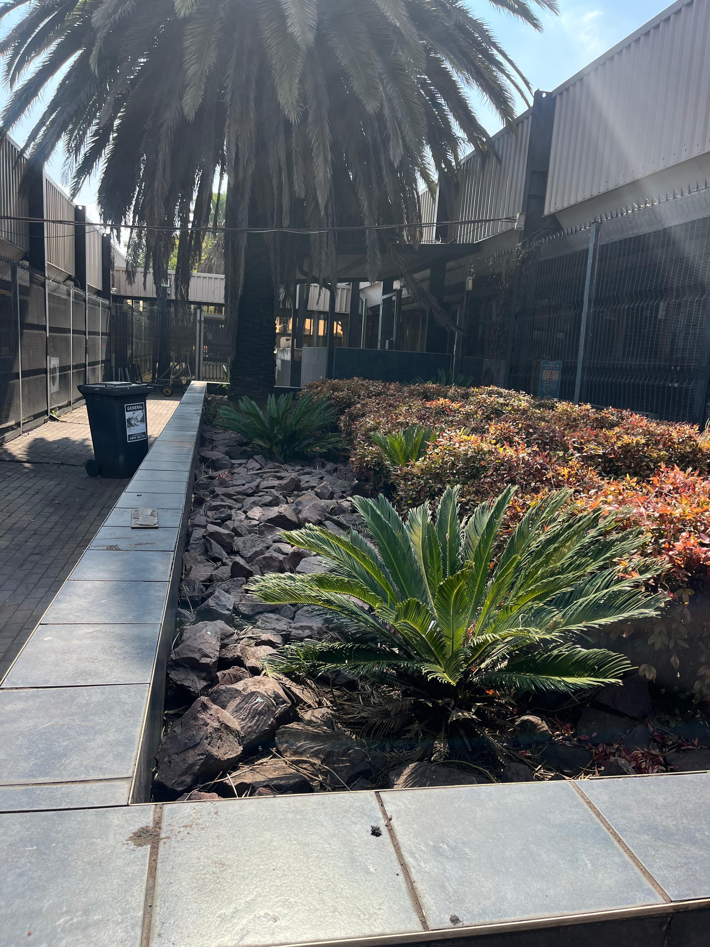 Lush green landscape