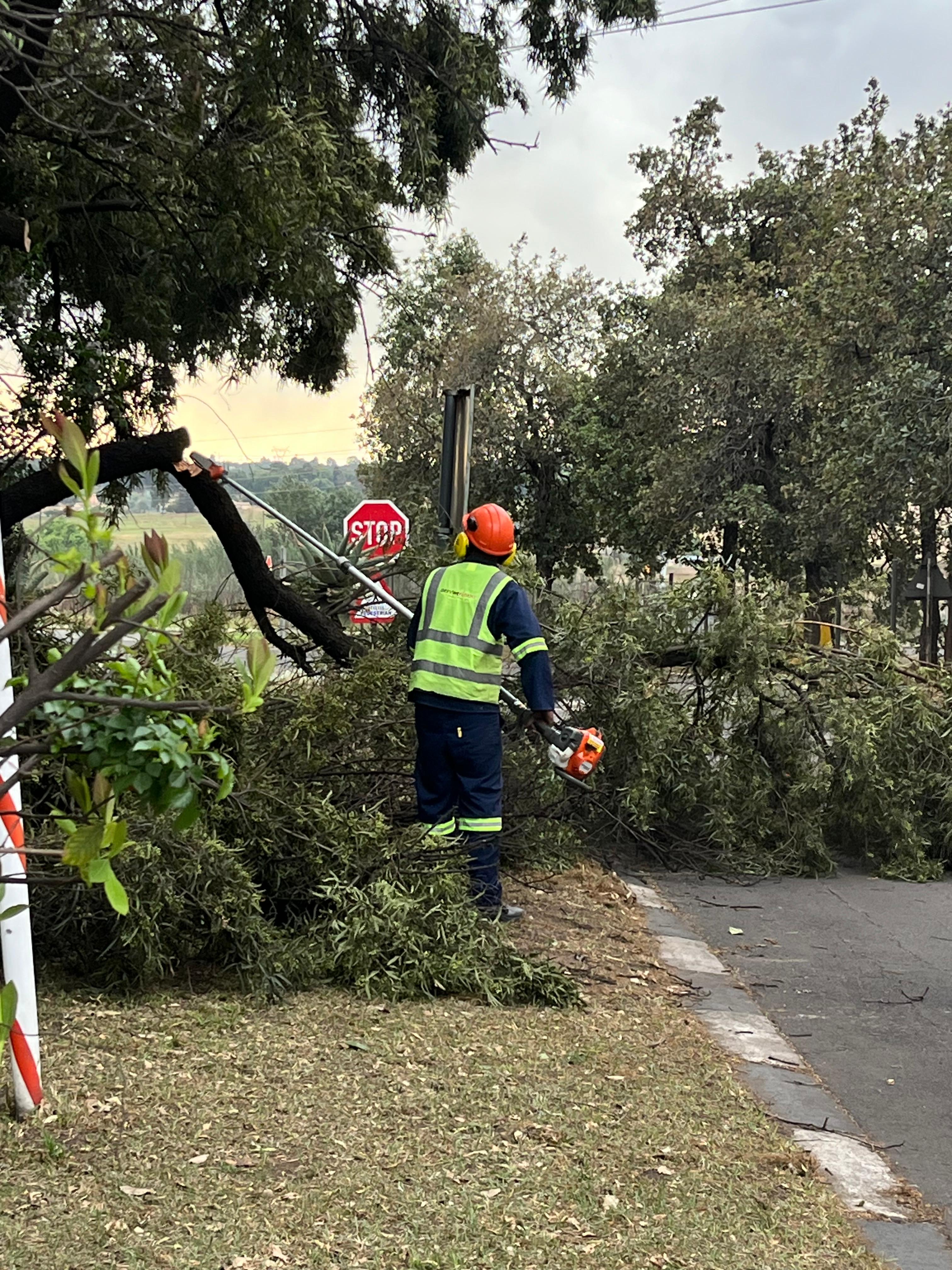 Landscape project 21