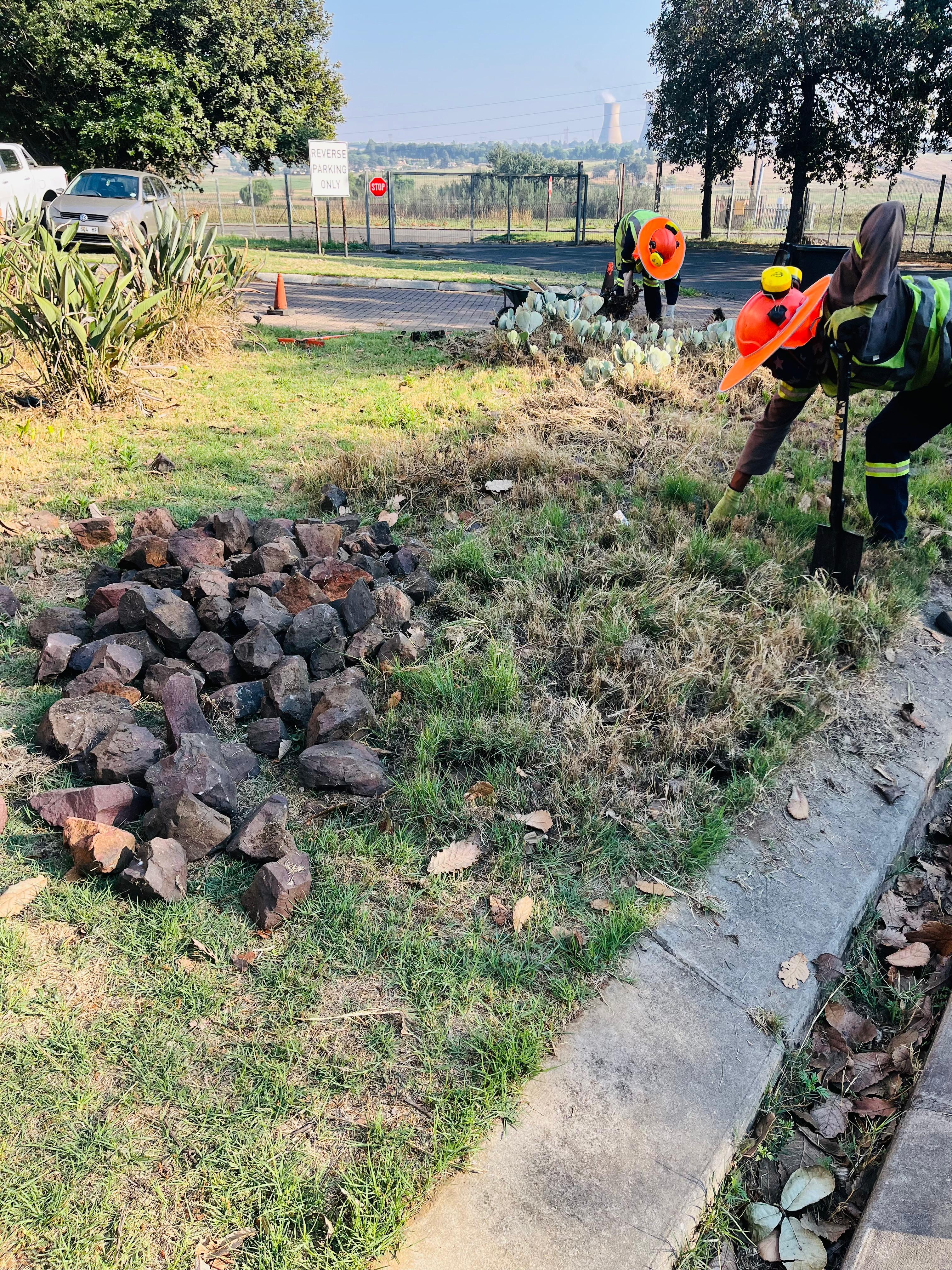 Professional landscaping