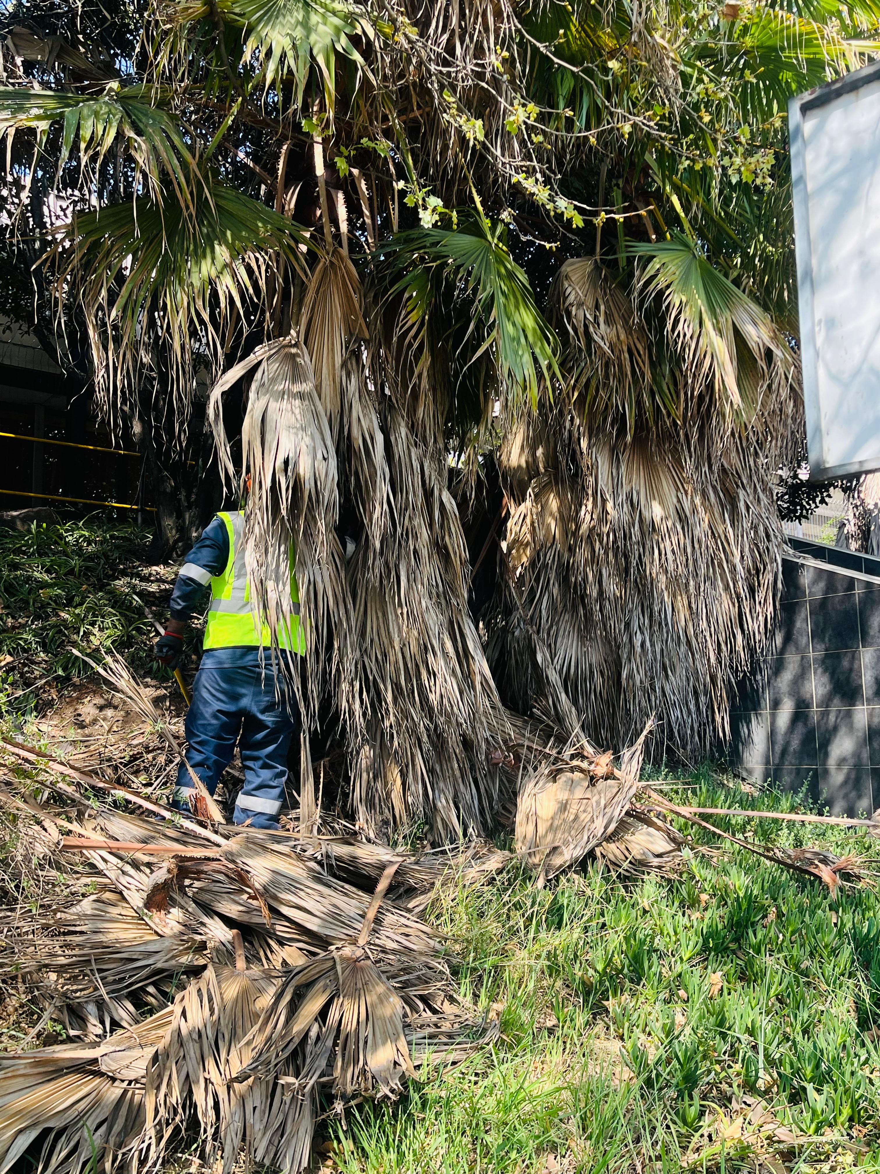 Garden design excellence