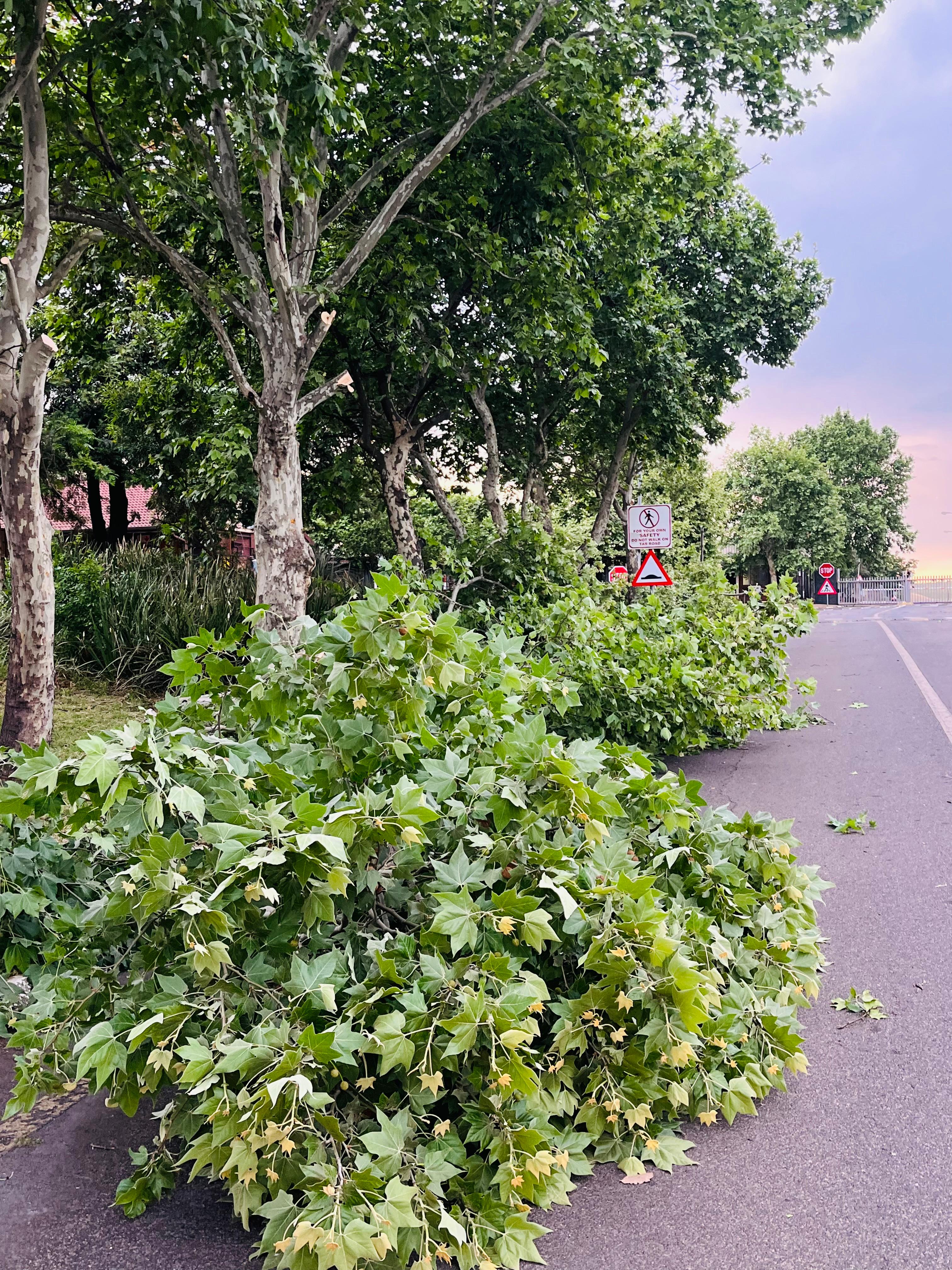 Outdoor transformation