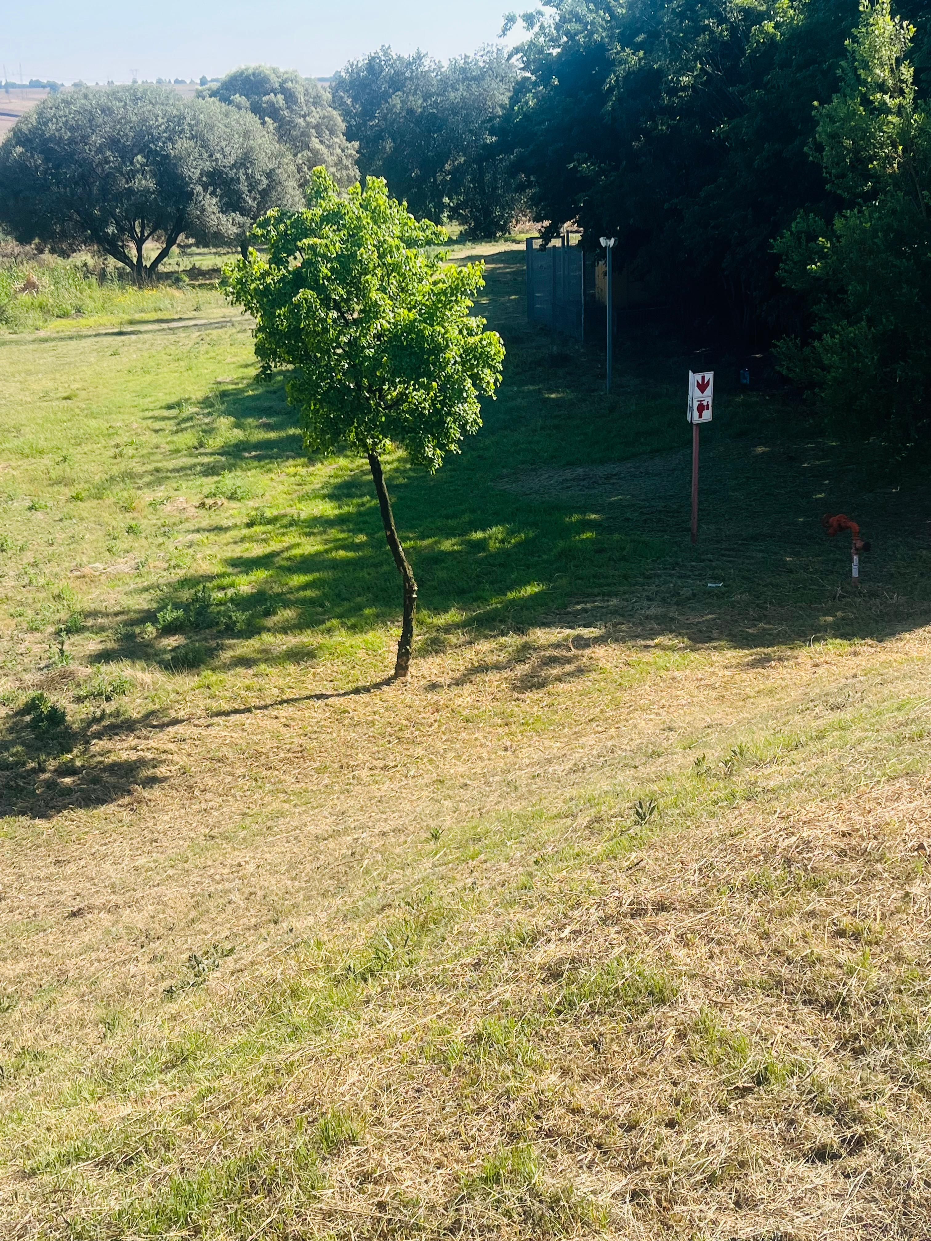 Landscape architecture