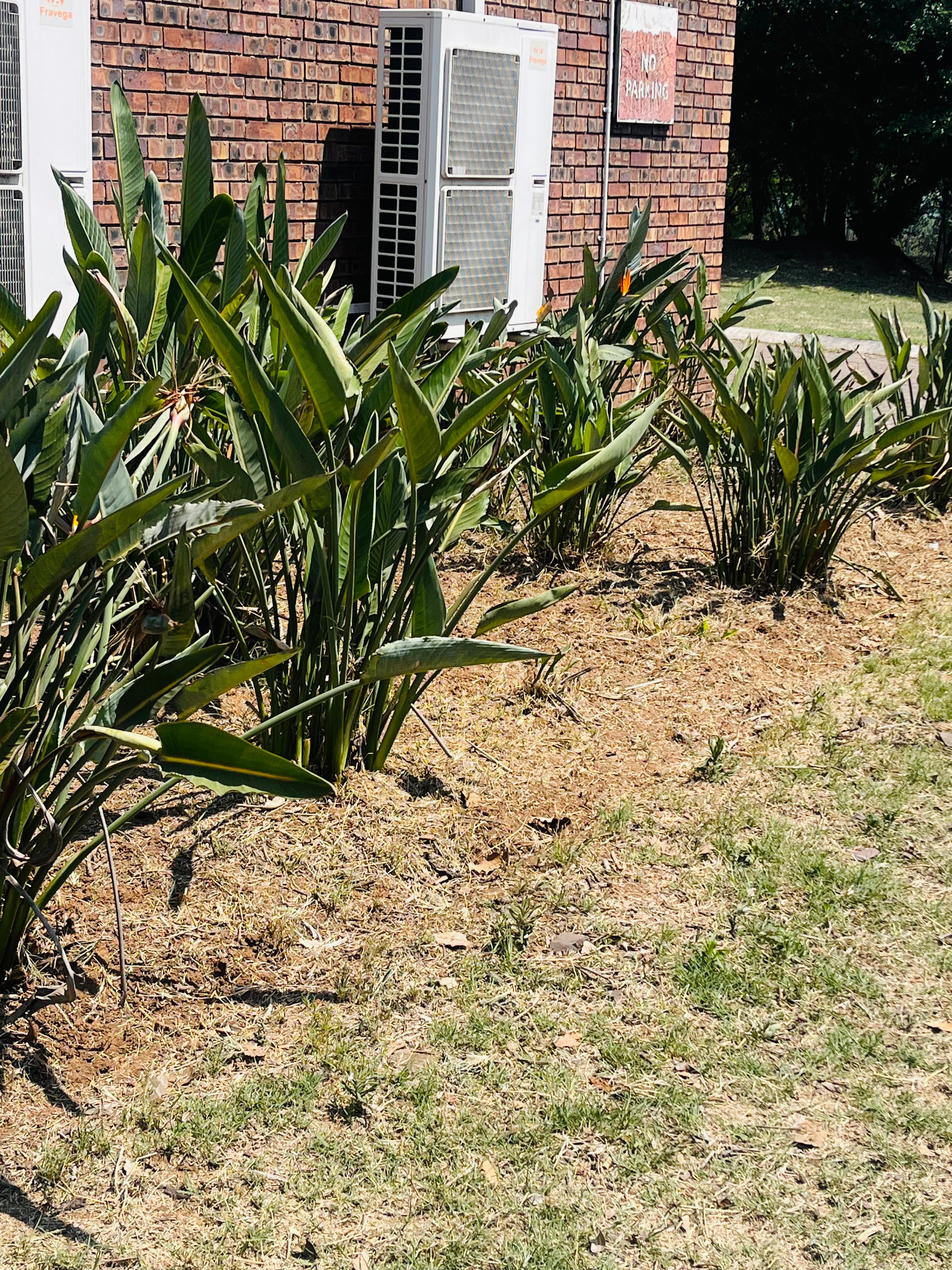Modern irrigation setup